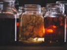 Photo Fermentation jars